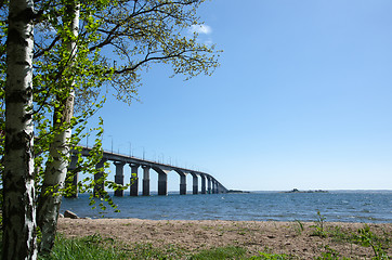 Image showing Spring view at the bridge