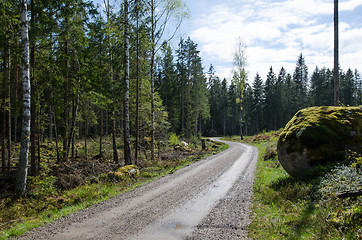 Image showing Mossy rock at a winding dirt road