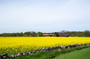 Image showing Swedish rural landscape