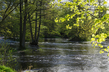 Image showing Riverside springtime