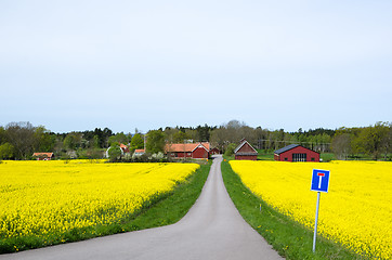 Image showing Swedish spring landscape