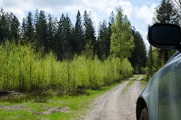 Image showing Driving in the woods at spring