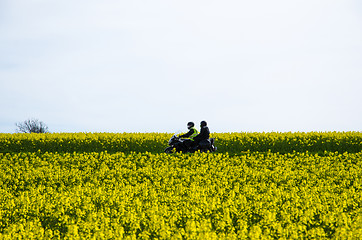 Image showing Motorbike in a blossom rapeseed field