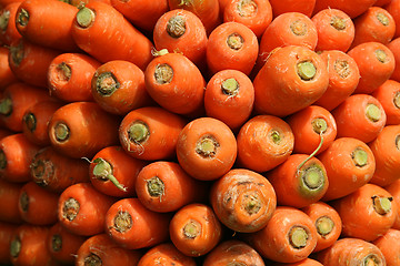 Image showing Carrot