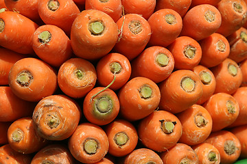 Image showing Carrot