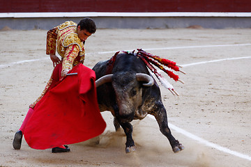 Image showing Traditional corrida - bullfighting in spain