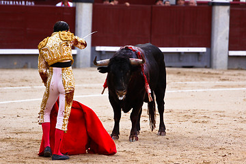 Image showing Traditional corrida - bullfighting in spain