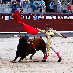 Image showing Traditional corrida - bullfighting in spain