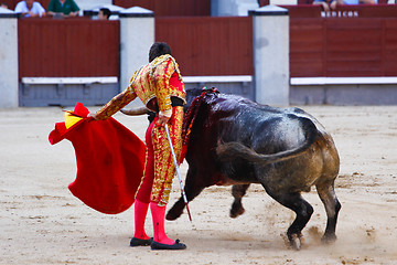 Image showing Traditional corrida - bullfighting in spain