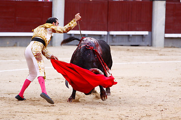 Image showing Traditional corrida - bullfighting in spain