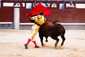 Image showing Traditional corrida - bullfighting in spain