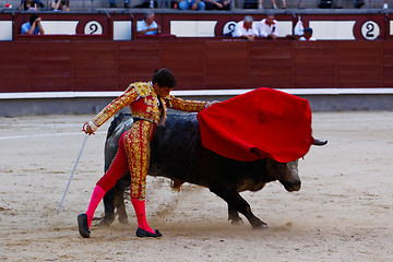 Image showing Traditional corrida - bullfighting in spain