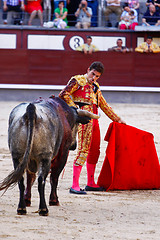 Image showing Traditional corrida - bullfighting in spain