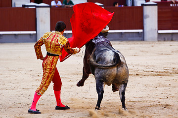 Image showing Traditional corrida - bullfighting in spain