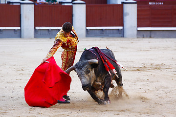 Image showing Traditional corrida - bullfighting in spain