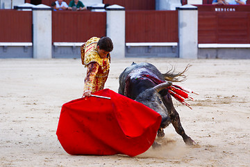 Image showing Traditional corrida - bullfighting in spain