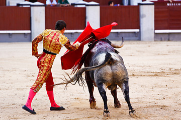 Image showing Traditional corrida - bullfighting in spain