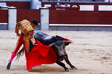 Image showing Traditional corrida - bullfighting in spain