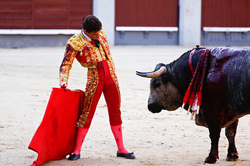 Image showing Traditional corrida - bullfighting in spain