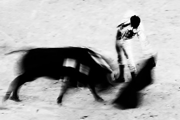 Image showing Bullfighting