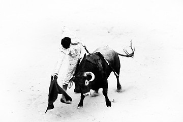 Image showing Bullfighting