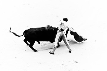 Image showing Bullfighting
