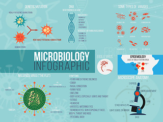 Image showing Microbiology infographic. Set with different shapes of virus. Flat design elements.