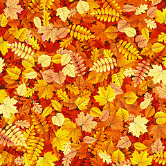 Image showing Autumn leaves texture. EPS 10 