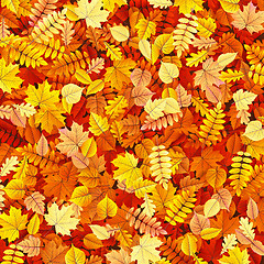 Image showing Autumn leaves texture EPS 10