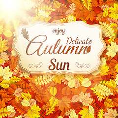 Image showing Delicate autumn sun. EPS 10