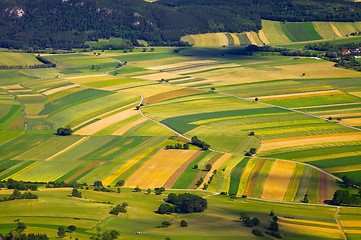 Image showing Fields