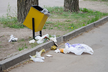 Image showing Debris is scattered around the garbage bins