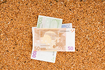 Image showing Monetary crop