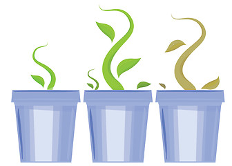 Image showing set of flower pots. Shoots and death of plants