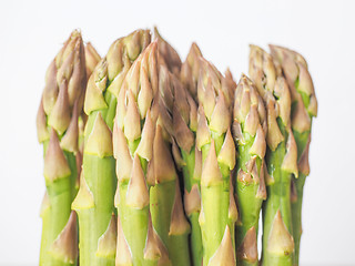 Image showing Asparagus vegetable