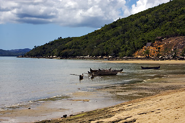 Image showing house lagoon 