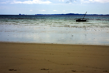 Image showing   rock stone branch hill  in madagascar nosy be