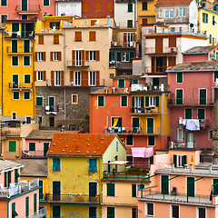 Image showing Colourful Manarola village, Cinque Terre, Italy. 