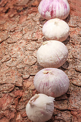 Image showing French garlic on tree bark