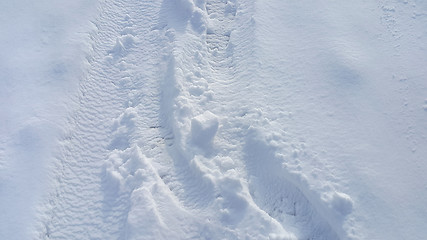 Image showing Footsteps on the snow