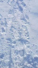 Image showing Footsteps on the snow