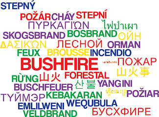 Image showing Bushfire multilanguage wordcloud background concept