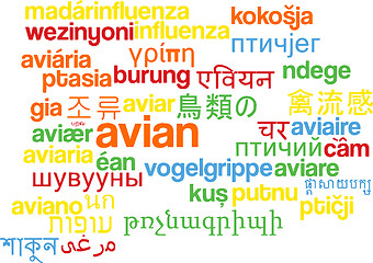 Image showing Avian multilanguage wordcloud background concept