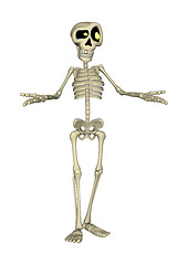 Image showing Skeleton