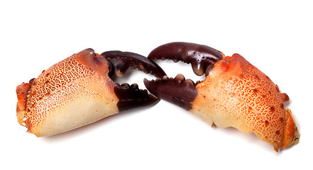 Image showing Two boiled pincers from crab