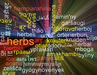Image showing Herbs multilanguage wordcloud background concept glowing