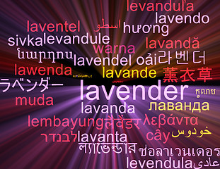 Image showing Lavender multilanguage wordcloud background concept glowing