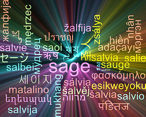 Image showing Sage multilanguage wordcloud background concept glowing
