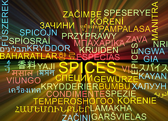 Image showing Spices multilanguage wordcloud background concept glowing