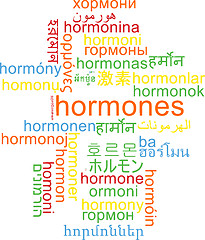 Image showing Hormones multilanguage wordcloud background concept